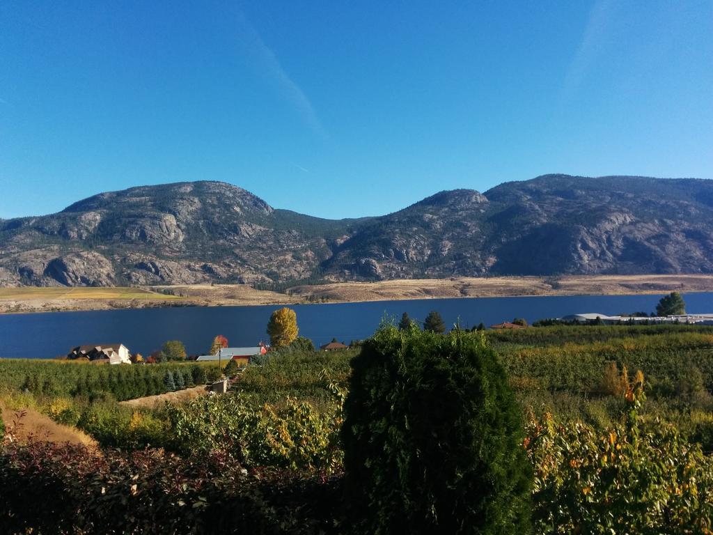 Ciliegia Villa Osoyoos Oda fotoğraf