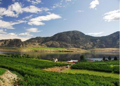 Ciliegia Villa Osoyoos Dış mekan fotoğraf